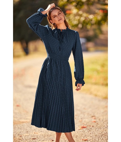 PRETTYGARDEN Women's 2025 Spring Fall Midi Dress Casual Long Sleeve V Neck Swiss Dot Pleated A Line Flowy Dresses