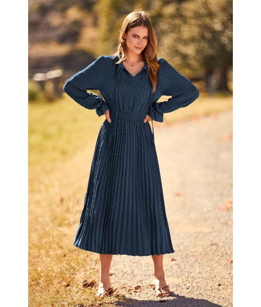 PRETTYGARDEN Women's 2025 Spring Fall Midi Dress Casual Long Sleeve V Neck Swiss Dot Pleated A Line Flowy Dresses