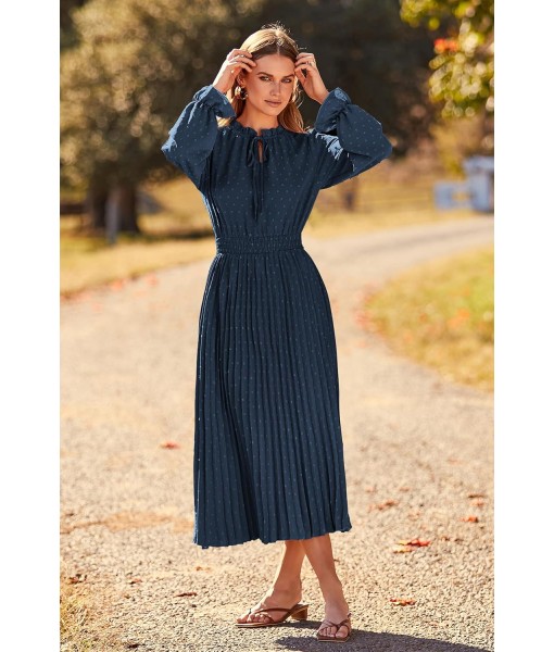 PRETTYGARDEN Women's 2025 Spring Fall Midi Dress Casual Long Sleeve V Neck Swiss Dot Pleated A Line Flowy Dresses