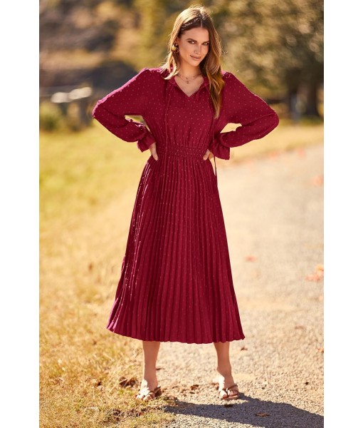 PRETTYGARDEN Women's 2025 Spring Fall Midi Dress Casual Long Sleeve V Neck Swiss Dot Pleated A Line Flowy Dresses