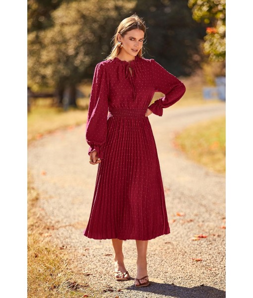PRETTYGARDEN Women's 2025 Spring Fall Midi Dress Casual Long Sleeve V Neck Swiss Dot Pleated A Line Flowy Dresses