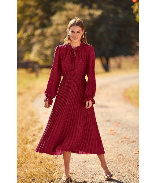 PRETTYGARDEN Women's 2025 Spring Fall Midi Dress Casual Long Sleeve V Neck Swiss Dot Pleated A Line Flowy Dresses