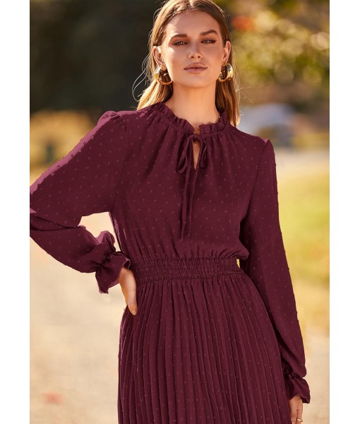 PRETTYGARDEN Women's 2025 Spring Fall Midi Dress Casual Long Sleeve V Neck Swiss Dot Pleated A Line Flowy Dresses