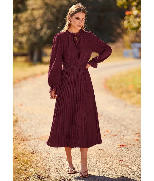 PRETTYGARDEN Women's 2025 Spring Fall Midi Dress Casual Long Sleeve V Neck Swiss Dot Pleated A Line Flowy Dresses