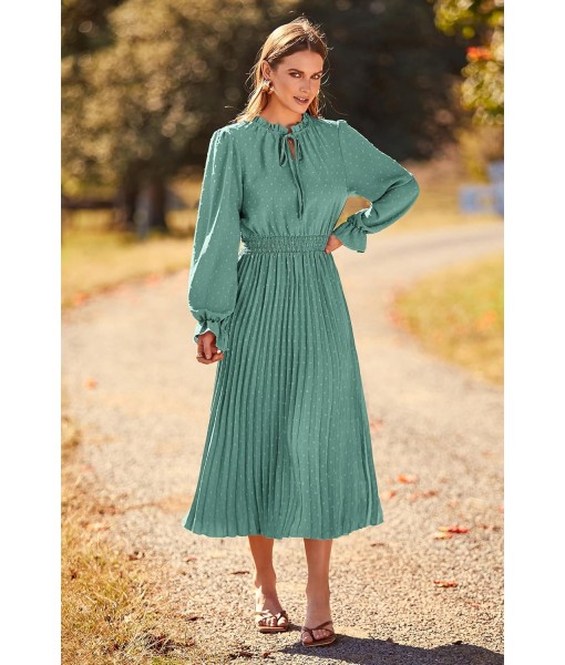 PRETTYGARDEN Women's 2025 Spring Fall Midi Dress Casual Long Sleeve V Neck Swiss Dot Pleated A Line Flowy Dresses