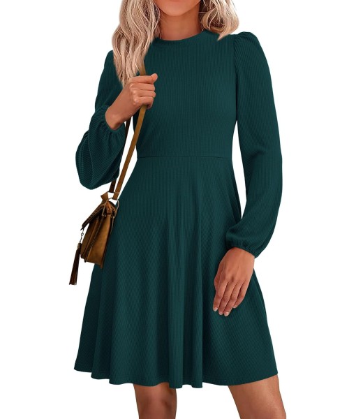 PRETTYGARDEN Womens Long Sleeve Mini Dress 2025 Fall Trendy Crewneck Ribbed Knit Soft A Line Flowy Summer Formal Dresses