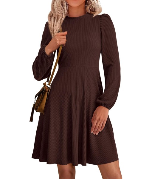 PRETTYGARDEN Womens Long Sleeve Mini Dress 2025 Fall Trendy Crewneck Ribbed Knit Soft A Line Flowy Summer Formal Dresses