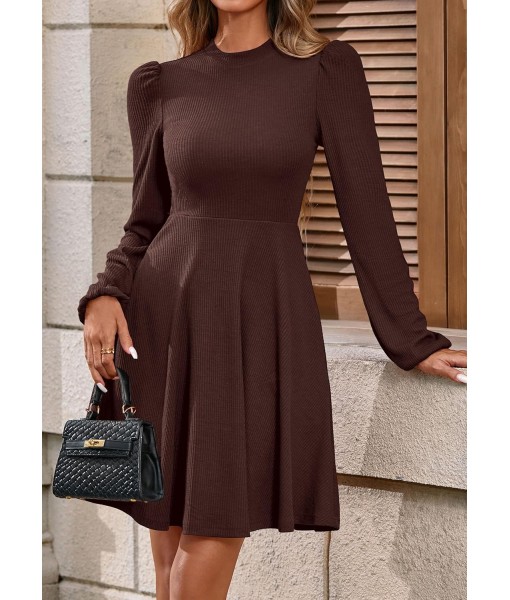 PRETTYGARDEN Womens Long Sleeve Mini Dress 2025 Fall Trendy Crewneck Ribbed Knit Soft A Line Flowy Summer Formal Dresses