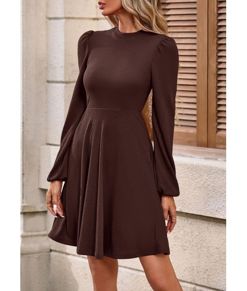 PRETTYGARDEN Womens Long Sleeve Mini Dress 2025 Fall Trendy Crewneck Ribbed Knit Soft A Line Flowy Summer Formal Dresses