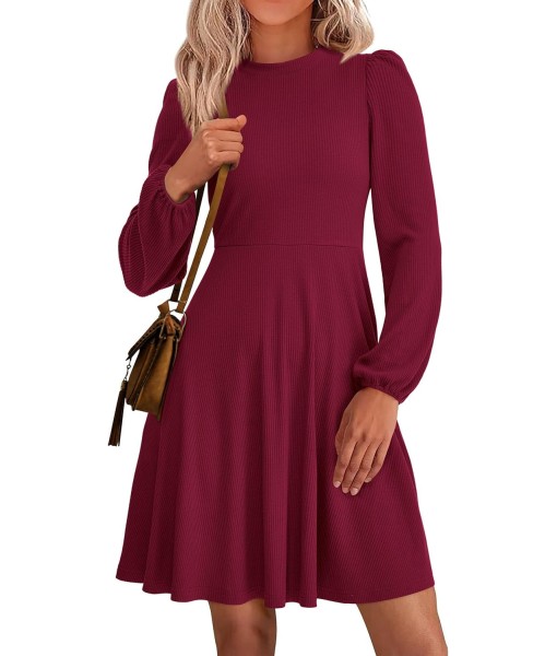 PRETTYGARDEN Womens Long Sleeve Mini Dress 2025 Fall Trendy Crewneck Ribbed Knit Soft A Line Flowy Summer Formal Dresses