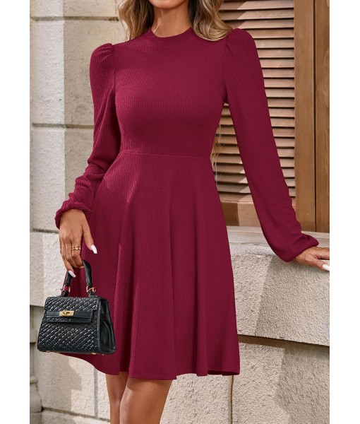 PRETTYGARDEN Womens Long Sleeve Mini Dress 2025 Fall Trendy Crewneck Ribbed Knit Soft A Line Flowy Summer Formal Dresses
