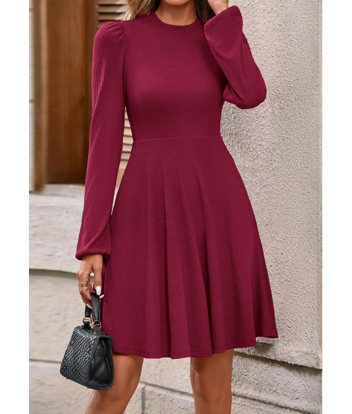PRETTYGARDEN Womens Long Sleeve Mini Dress 2025 Fall Trendy Crewneck Ribbed Knit Soft A Line Flowy Summer Formal Dresses