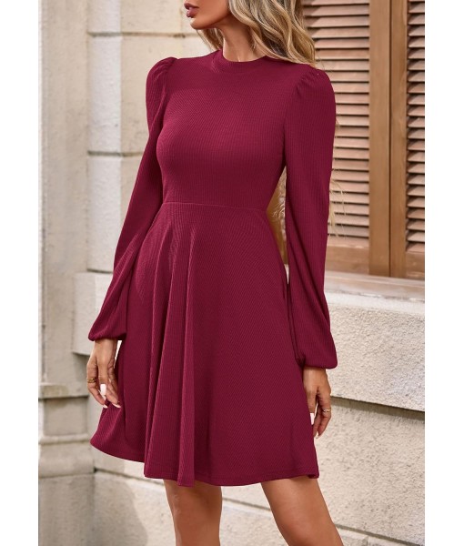 PRETTYGARDEN Womens Long Sleeve Mini Dress 2025 Fall Trendy Crewneck Ribbed Knit Soft A Line Flowy Summer Formal Dresses