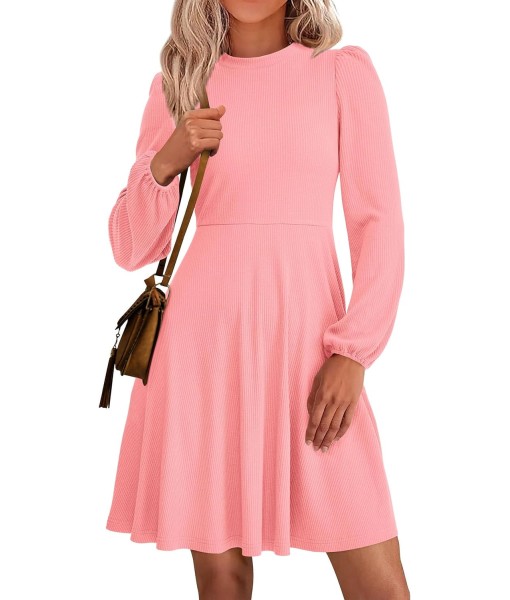 PRETTYGARDEN Womens Long Sleeve Mini Dress 2025 Fall Trendy Crewneck Ribbed Knit Soft A Line Flowy Summer Formal Dresses