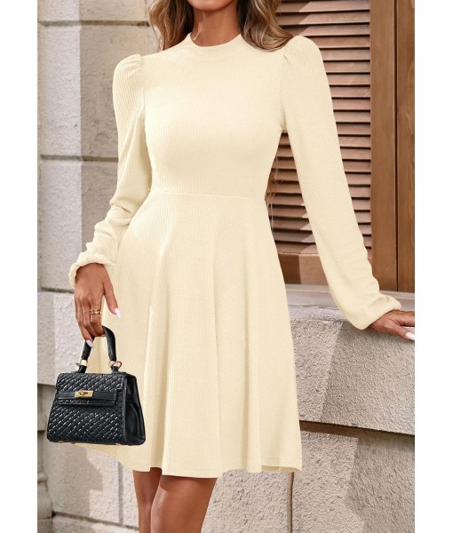 PRETTYGARDEN Womens Long Sleeve Mini Dress 2025 Fall Trendy Crewneck Ribbed Knit Soft A Line Flowy Summer Formal Dresses