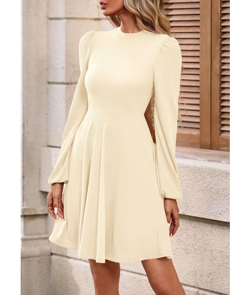 PRETTYGARDEN Womens Long Sleeve Mini Dress 2025 Fall Trendy Crewneck Ribbed Knit Soft A Line Flowy Summer Formal Dresses