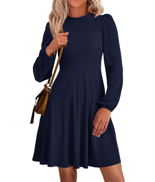 PRETTYGARDEN Womens Long Sleeve Mini Dress 2025 Fall Trendy Crewneck Ribbed Knit Soft A Line Flowy Summer Formal Dresses