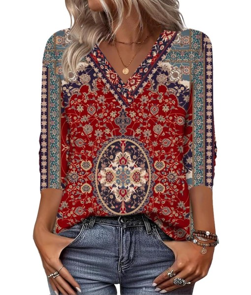 Zeagoo Women Long Sleeve Tops Dressy Casual V Neck Tshirts Basics Tee 2025 Fall Trendy Clothes