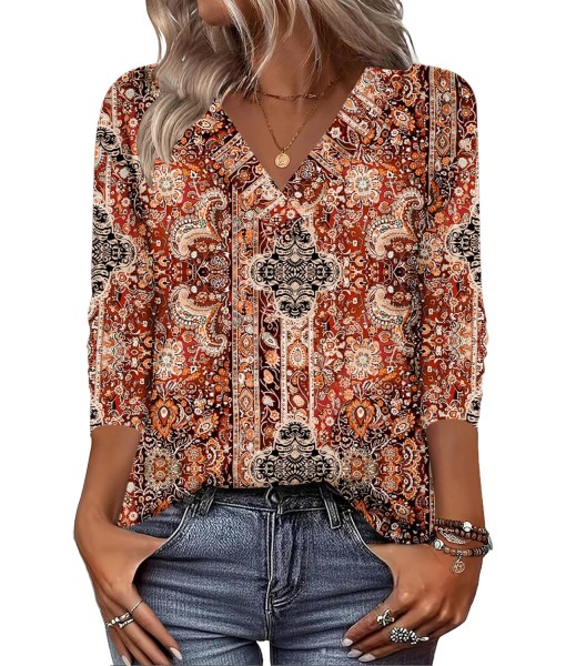 Zeagoo Women Long Sleeve Tops Dressy Casual V Neck Tshirts Basics Tee 2025 Fall Trendy Clothes