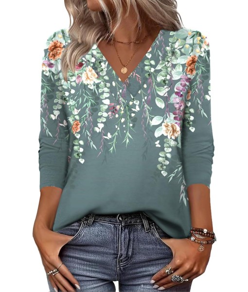 Zeagoo Women Long Sleeve Tops Dressy Casual V Neck Tshirts Basics Tee 2025 Fall Trendy Clothes