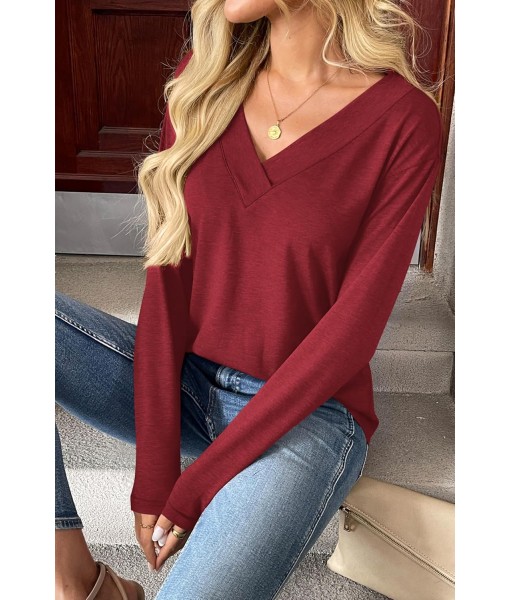 Zeagoo Women Long Sleeve Tops Dressy Casual V Neck Tshirts Basics Tee 2025 Fall Trendy Clothes