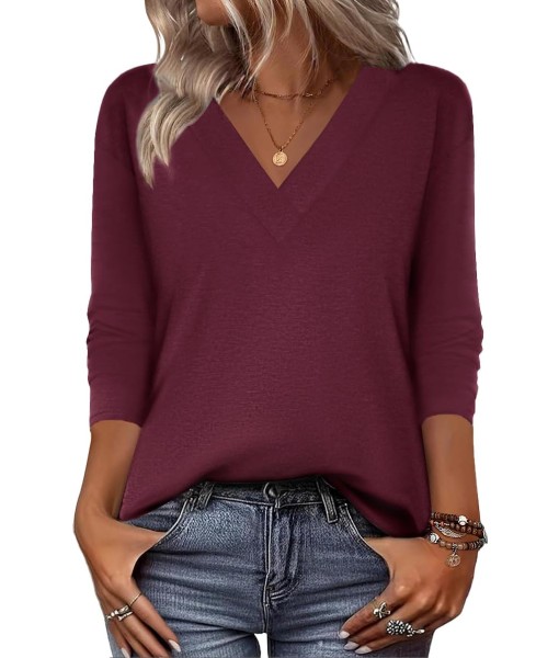Zeagoo Women Long Sleeve Tops Dressy Casual V Neck Tshirts Basics Tee 2025 Fall Trendy Clothes