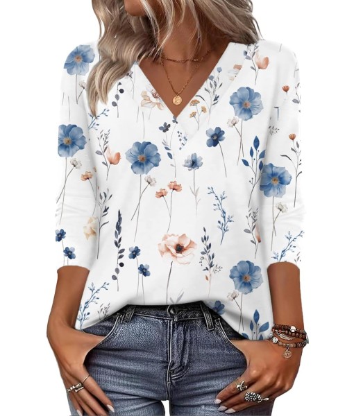 Zeagoo Women Long Sleeve Tops Dressy Casual V Neck Tshirts Basics Tee 2025 Fall Trendy Clothes