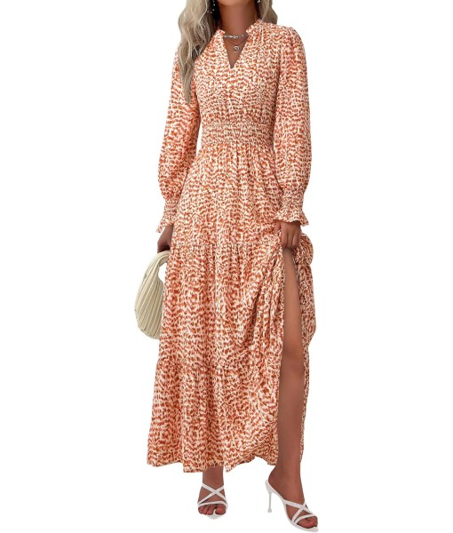 PRETTYGARDEN Women's Floral Maxi Dress 2025 Fall Long Sleeve V Neck Casual A Line Long Flowy Boho Party Dresses