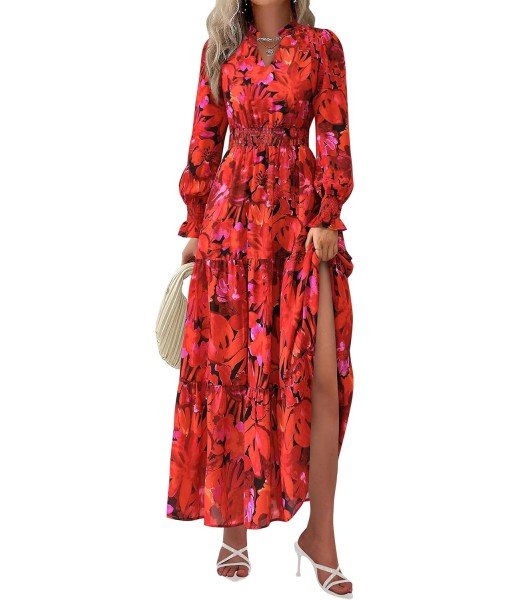 PRETTYGARDEN Women's Floral Maxi Dress 2025 Fall Long Sleeve V Neck Casual A Line Long Flowy Boho Party Dresses
