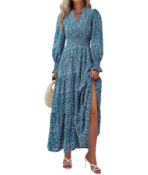PRETTYGARDEN Women's Floral Maxi Dress 2025 Fall Long Sleeve V Neck Casual A Line Long Flowy Boho Party Dresses