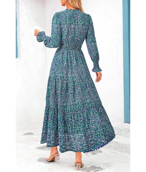 PRETTYGARDEN Women's Floral Maxi Dress 2025 Fall Long Sleeve V Neck Casual A Line Long Flowy Boho Party Dresses