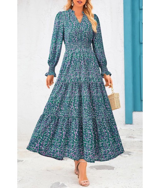 PRETTYGARDEN Women's Floral Maxi Dress 2025 Fall Long Sleeve V Neck Casual A Line Long Flowy Boho Party Dresses