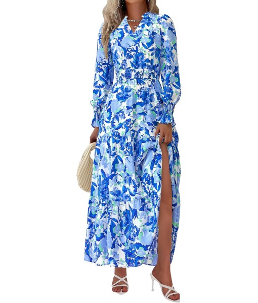 PRETTYGARDEN Women's Floral Maxi Dress 2025 Fall Long Sleeve V Neck Casual A Line Long Flowy Boho Party Dresses