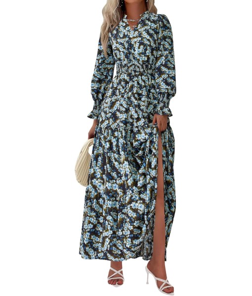 PRETTYGARDEN Women's Floral Maxi Dress 2025 Fall Long Sleeve V Neck Casual A Line Long Flowy Boho Party Dresses