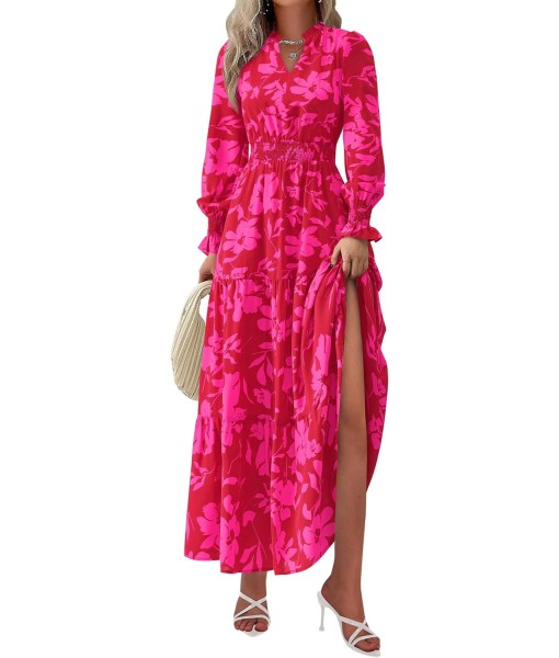 PRETTYGARDEN Women's Floral Maxi Dress 2025 Fall Long Sleeve V Neck Casual A Line Long Flowy Boho Party Dresses