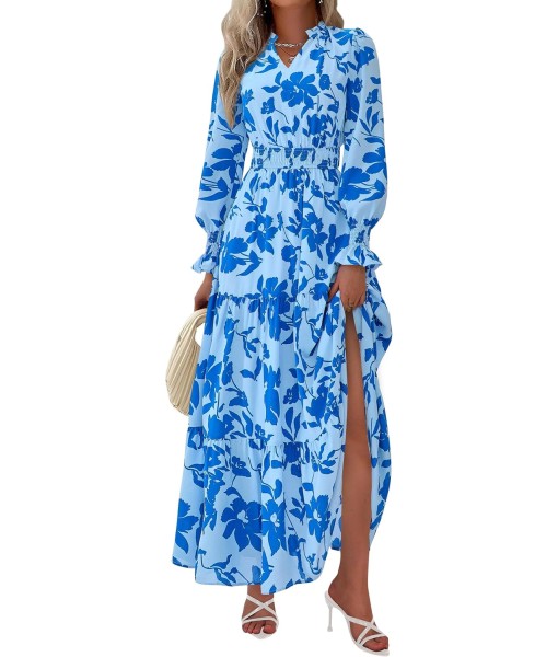 PRETTYGARDEN Women's Floral Maxi Dress 2025 Fall Long Sleeve V Neck Casual A Line Long Flowy Boho Party Dresses