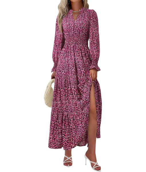 PRETTYGARDEN Women's Floral Maxi Dress 2025 Fall Long Sleeve V Neck Casual A Line Long Flowy Boho Party Dresses