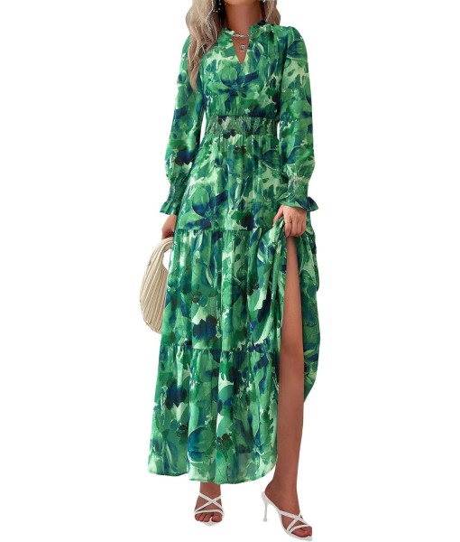 PRETTYGARDEN Women's Floral Maxi Dress 2025 Fall Long Sleeve V Neck Casual A Line Long Flowy Boho Party Dresses